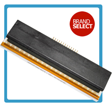 Печатающая головка для принтера этикеток TSC TTP-243 Plus/TTP-243 Pro